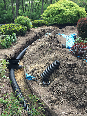 Drainage in Mansfield