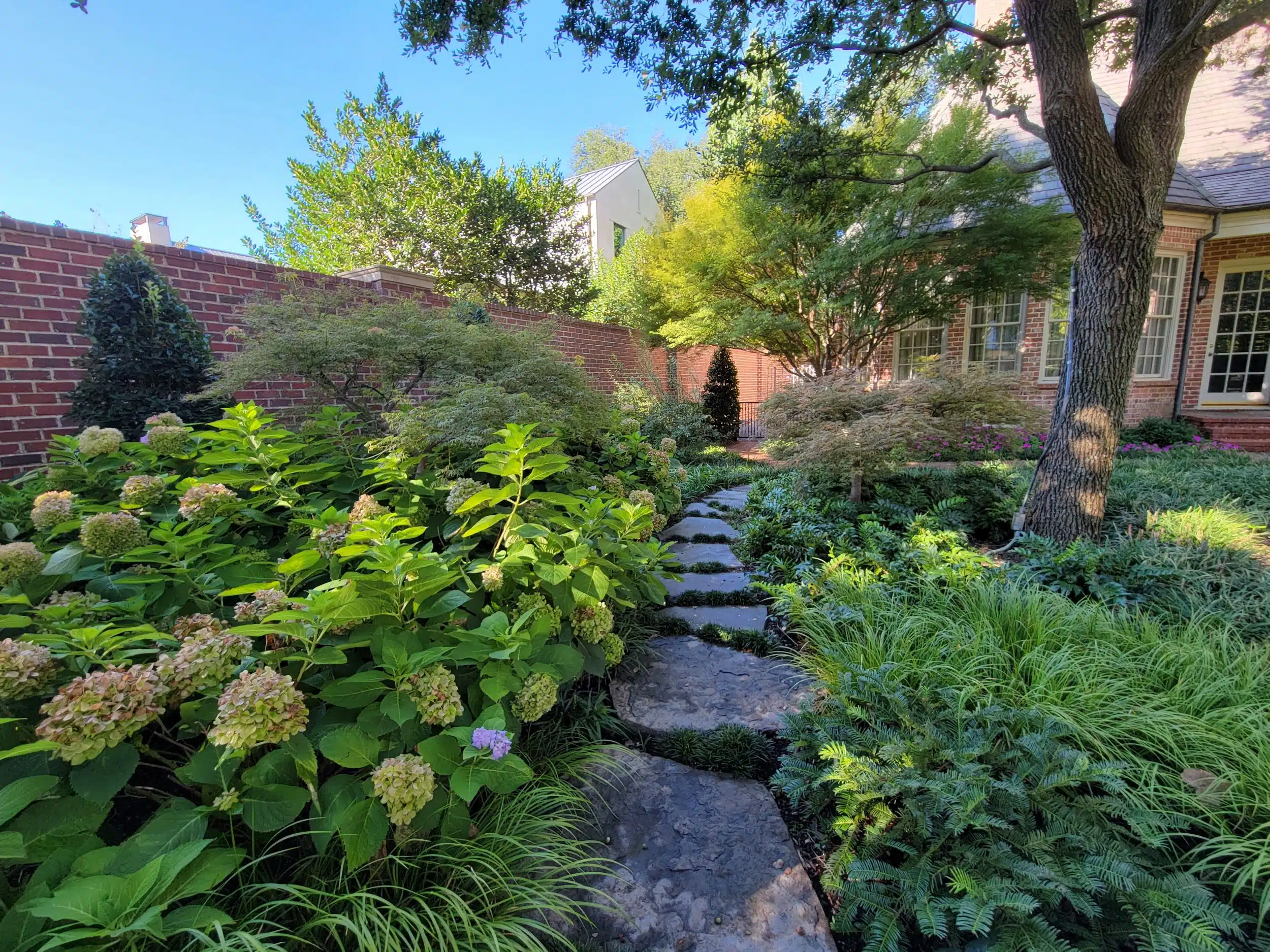 Landscaping in Mansfield
